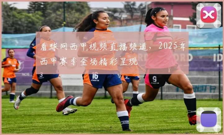 看球网西甲视频直播频道，2025年西甲赛季全场精彩呈现