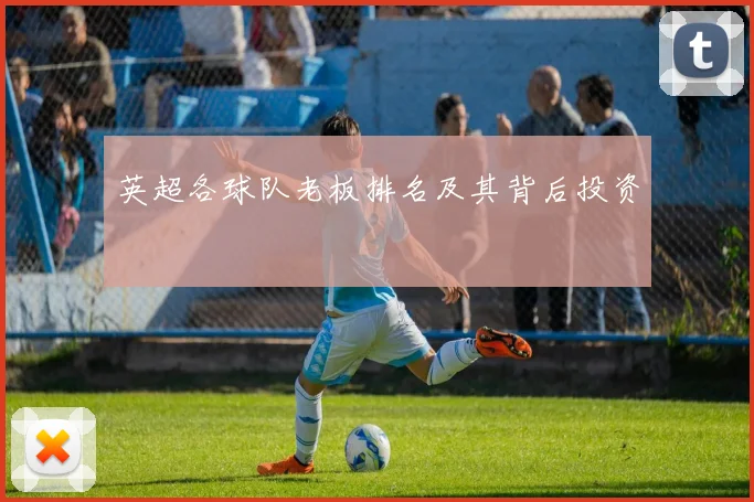 英超各球队老板排名及其背后投资