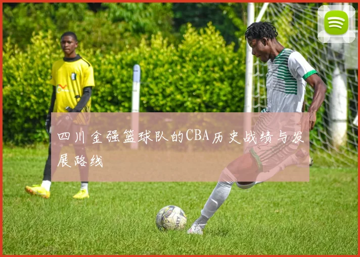 四川金强篮球队的CBA历史战绩与发展路线