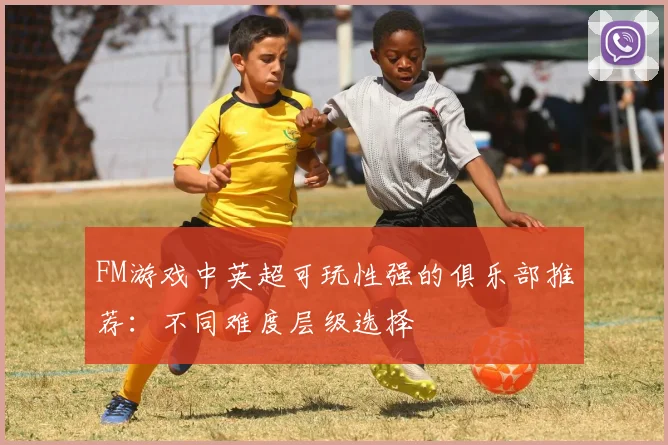 FM游戏中英超可玩性强的俱乐部推荐：不同难度层级选择