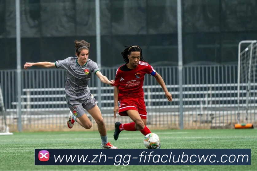 世界杯平台平台生态图