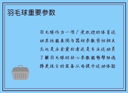 羽毛球重要参数